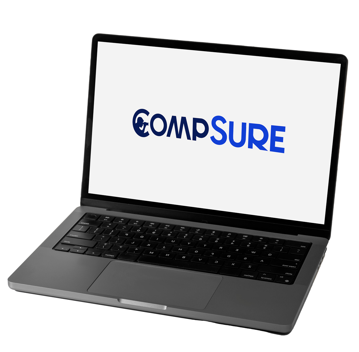 Proprietary Timeline